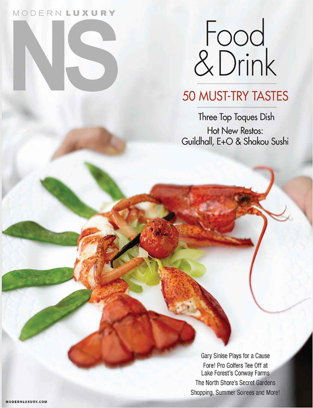 Featured image for “<b>North Shore Modern Luxury</b><br>Natural Selection”