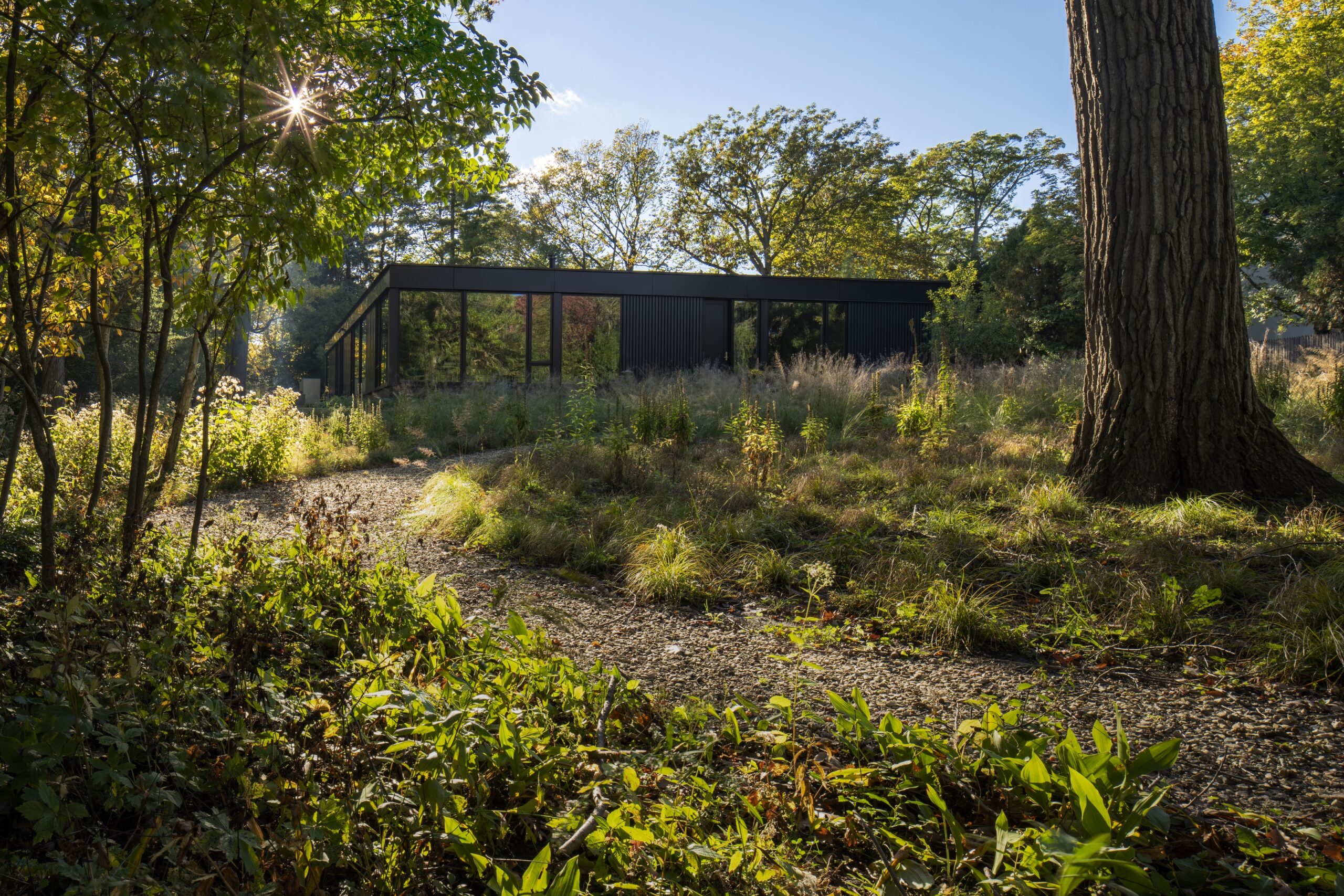 Featured image for “Highland Park, Ravine Residence”